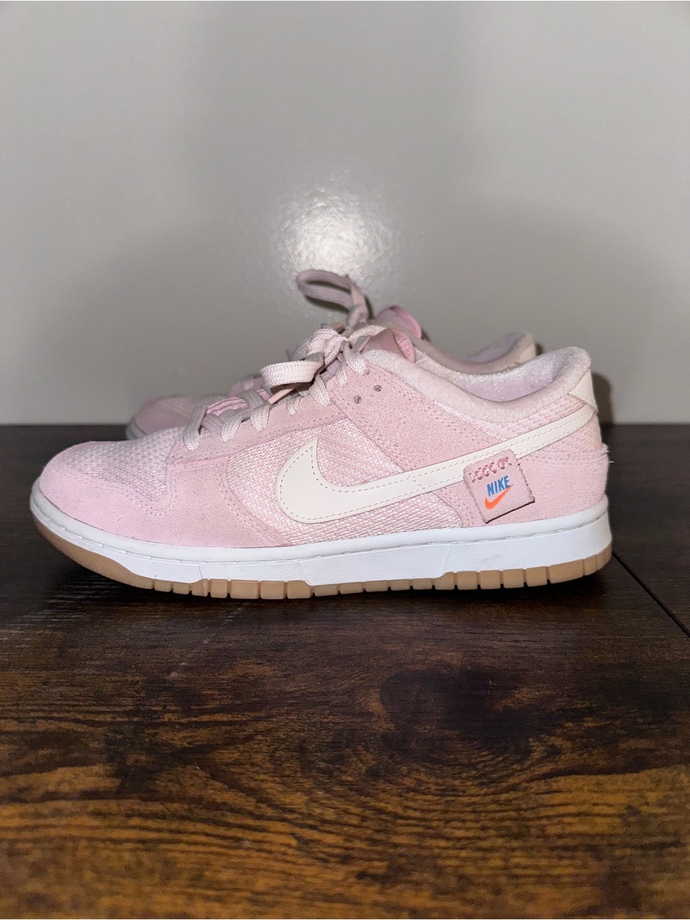 Teddy Bear Nike Dunks